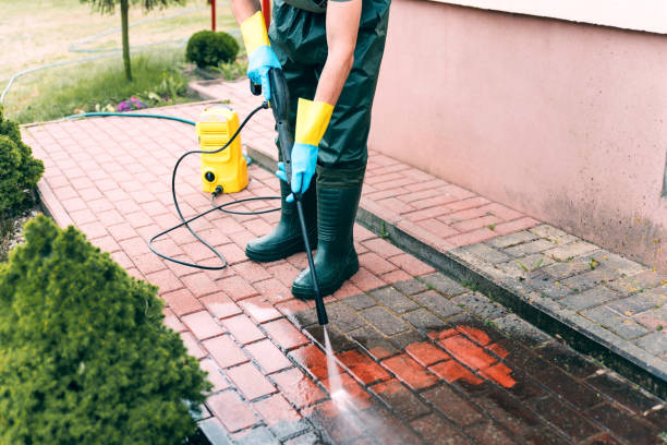 Best House Exterior Washing  in White Meadow Lake, NJ